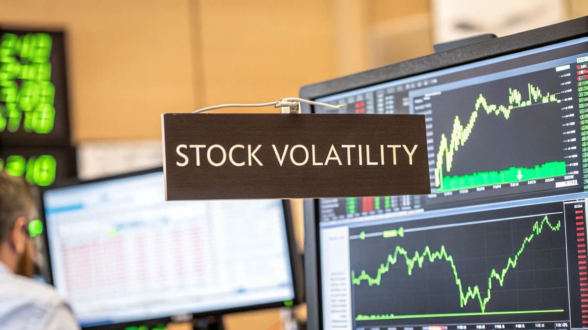 What Is Stock Volatility? A Guide for Investors